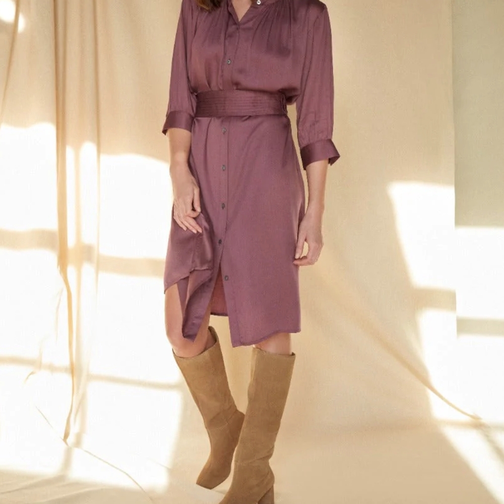 Michi Shirt Dress
